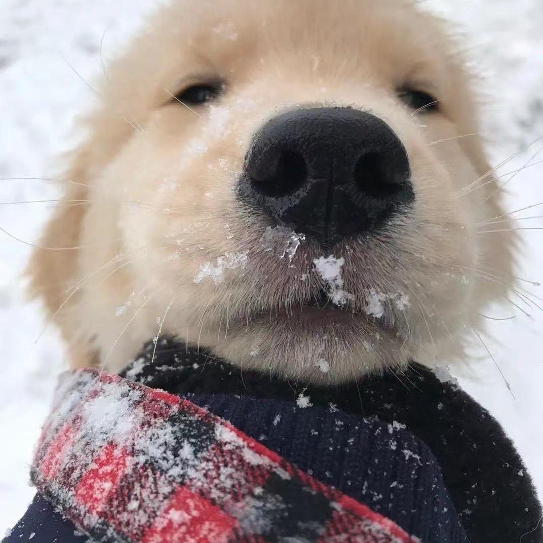 JJ别喜我（备用号）