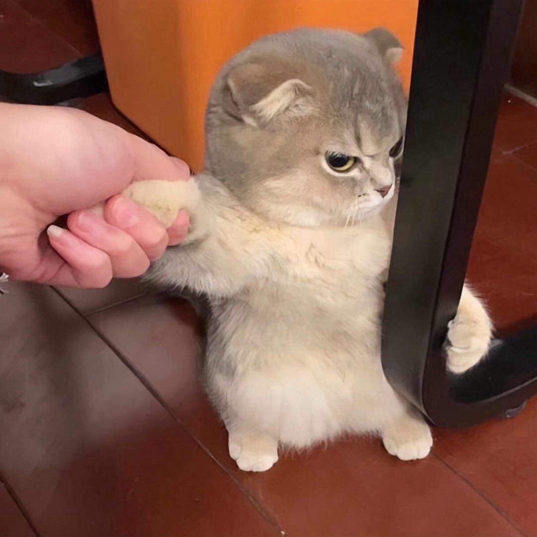 🌈莫名丶纠结🌈