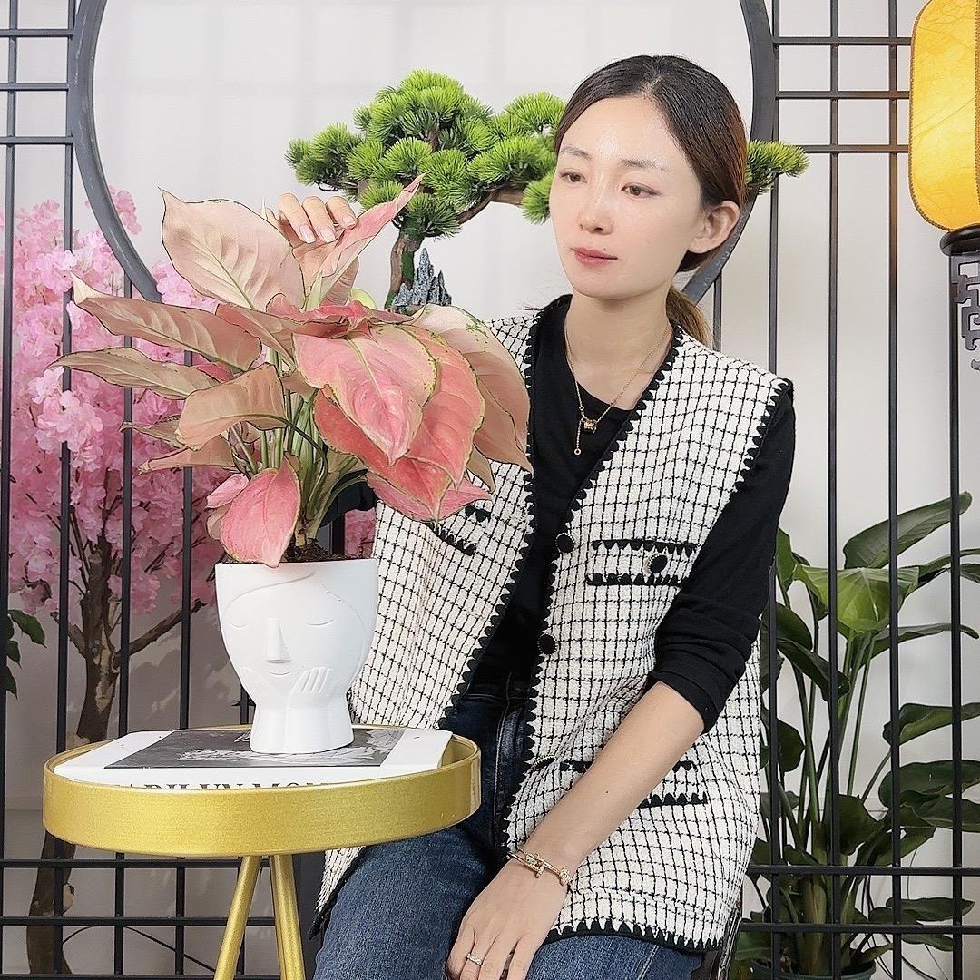 多多花卉绿植