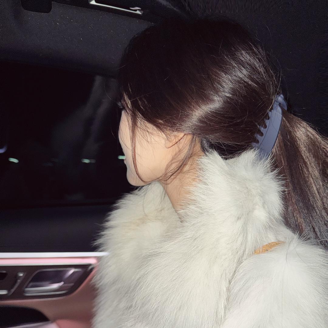 小狗势力保护伞