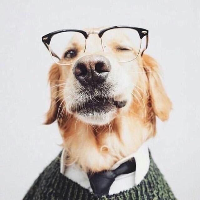 卖萌的隔壁小季🐤