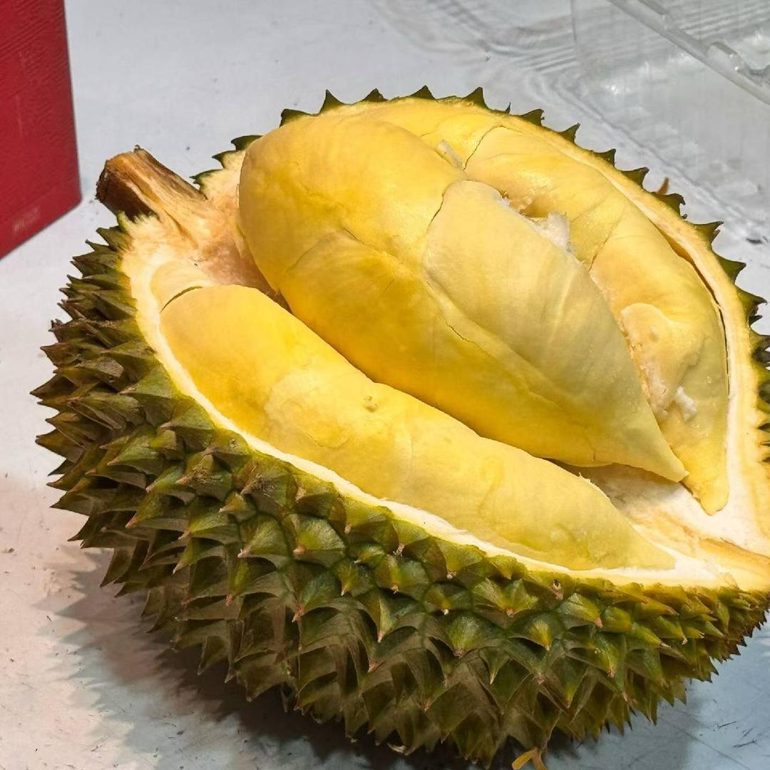 马泰贸易有限公司
