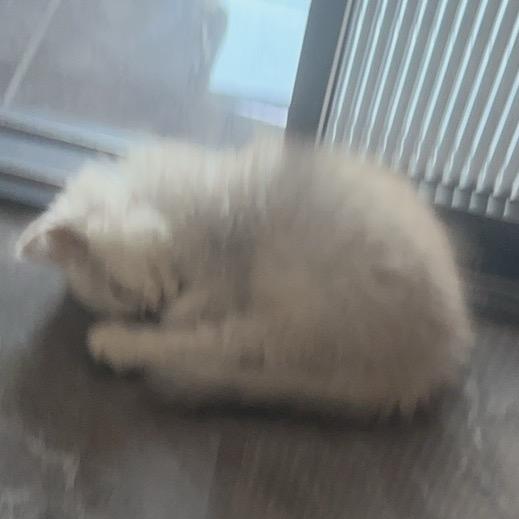传奇嫂嫂
