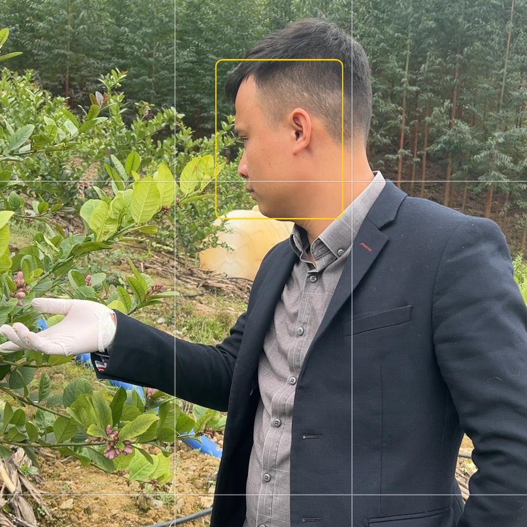 阿文农业