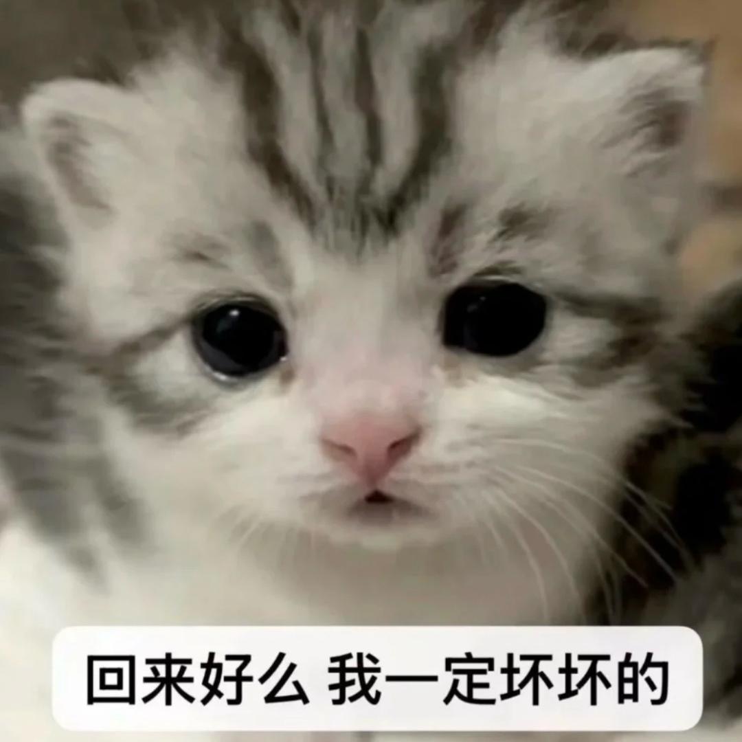 可爱的⌯>ᴗo⌯ಣ