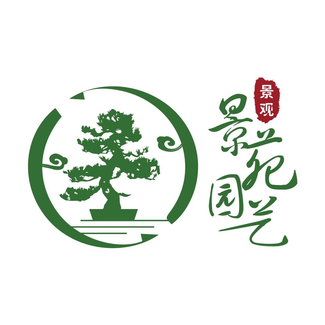 景苑园艺精品黄杨树