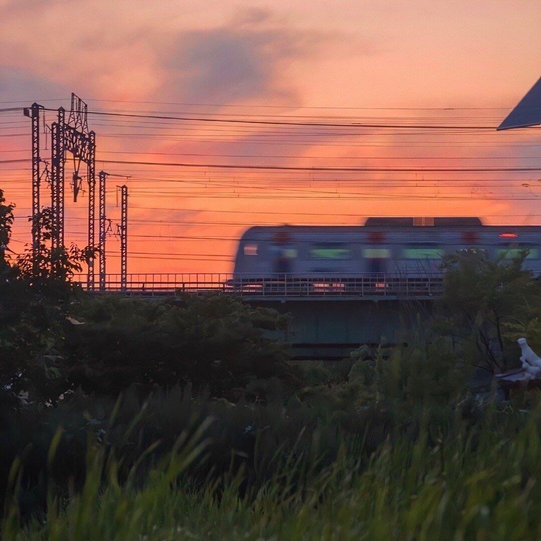 舟舟🚣‍♀️（请勿连赞）