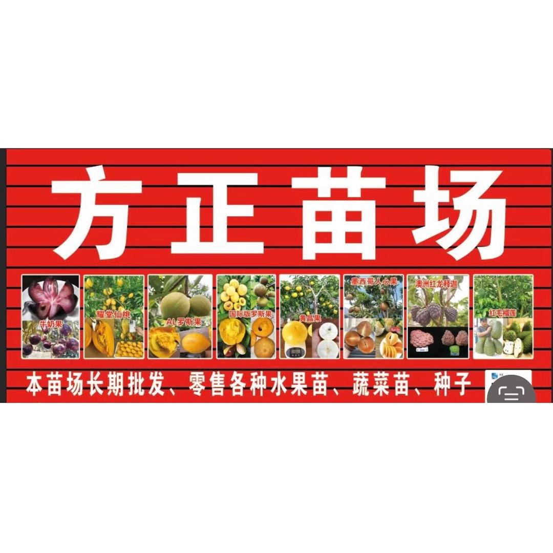 方正～水果蔬菜育苗基地