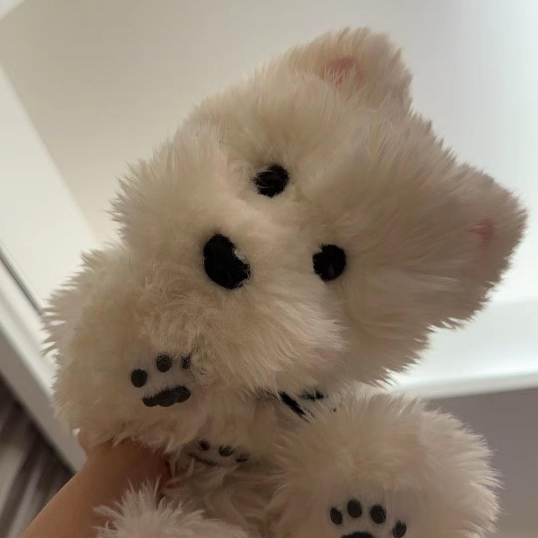 小杨✌️