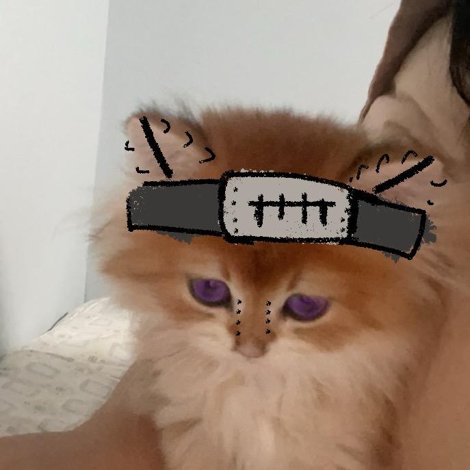 矢吹樱