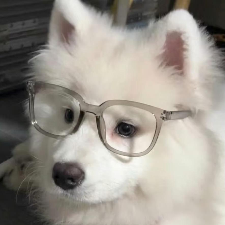 拿铁小狗
