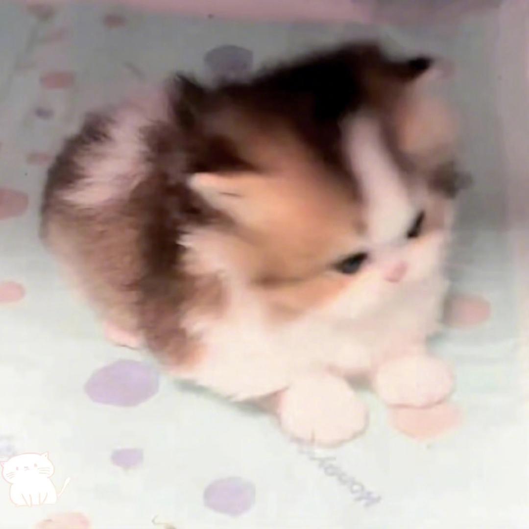 溜了溜了溜了