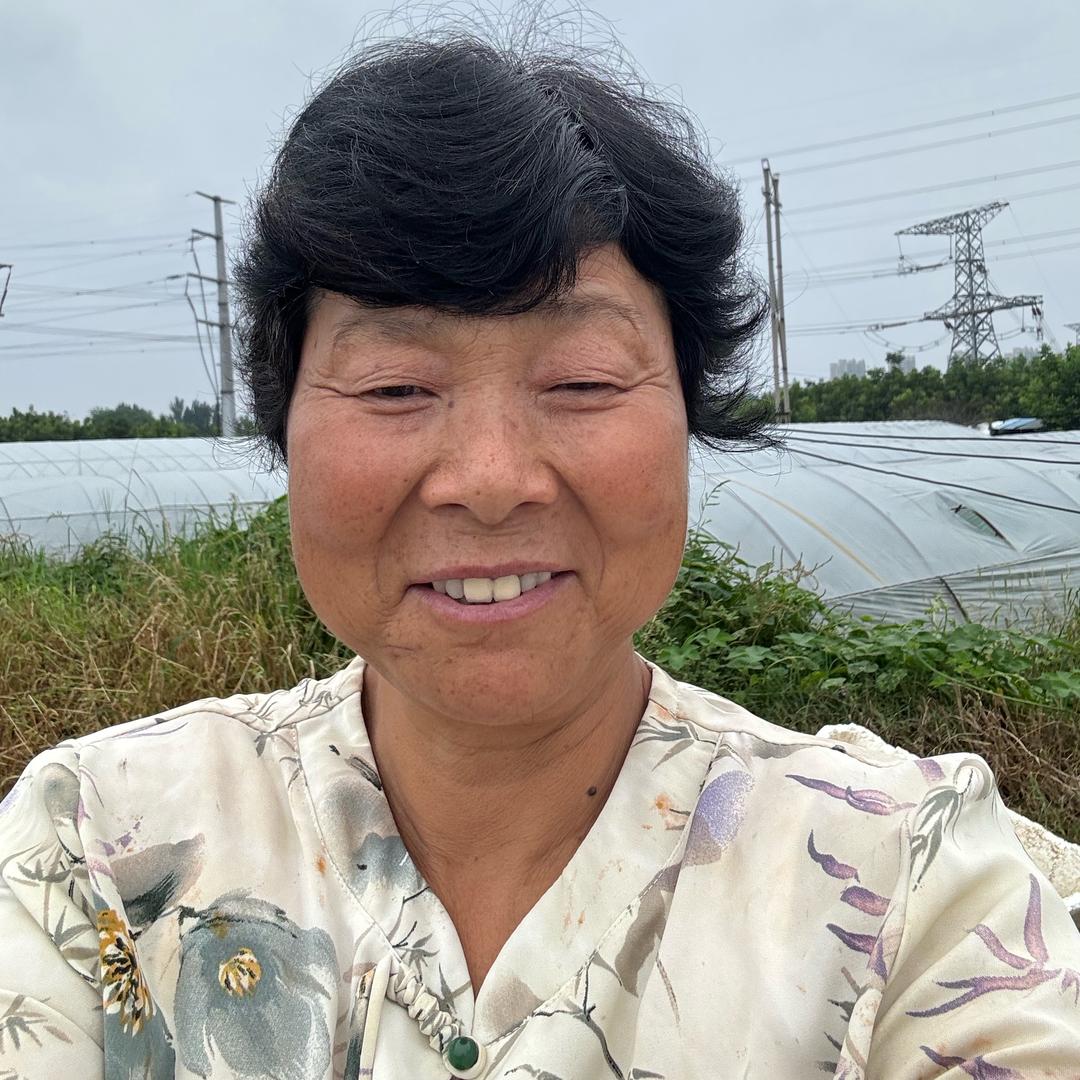 丁姐田园