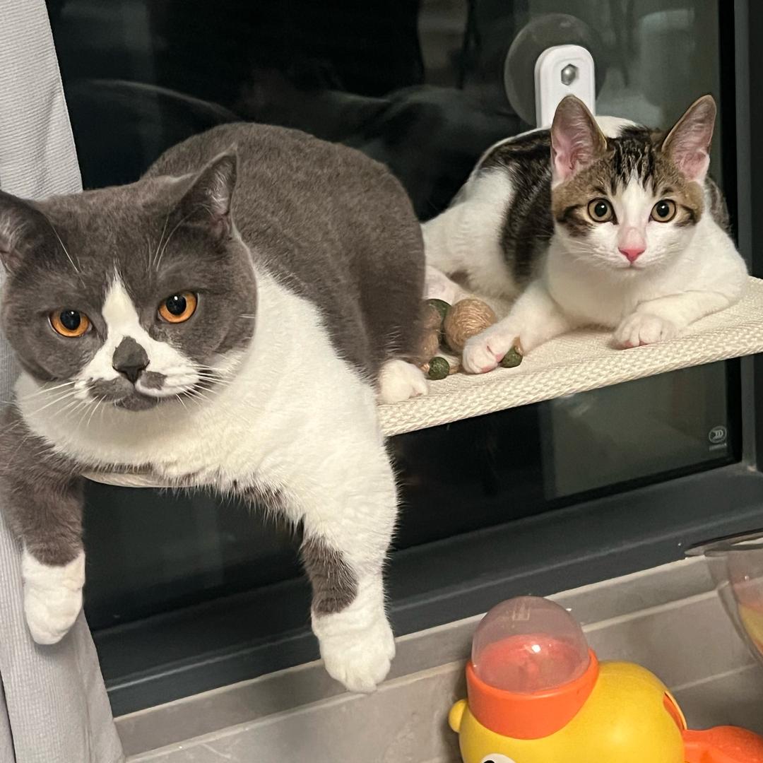 夏天的生活小馆