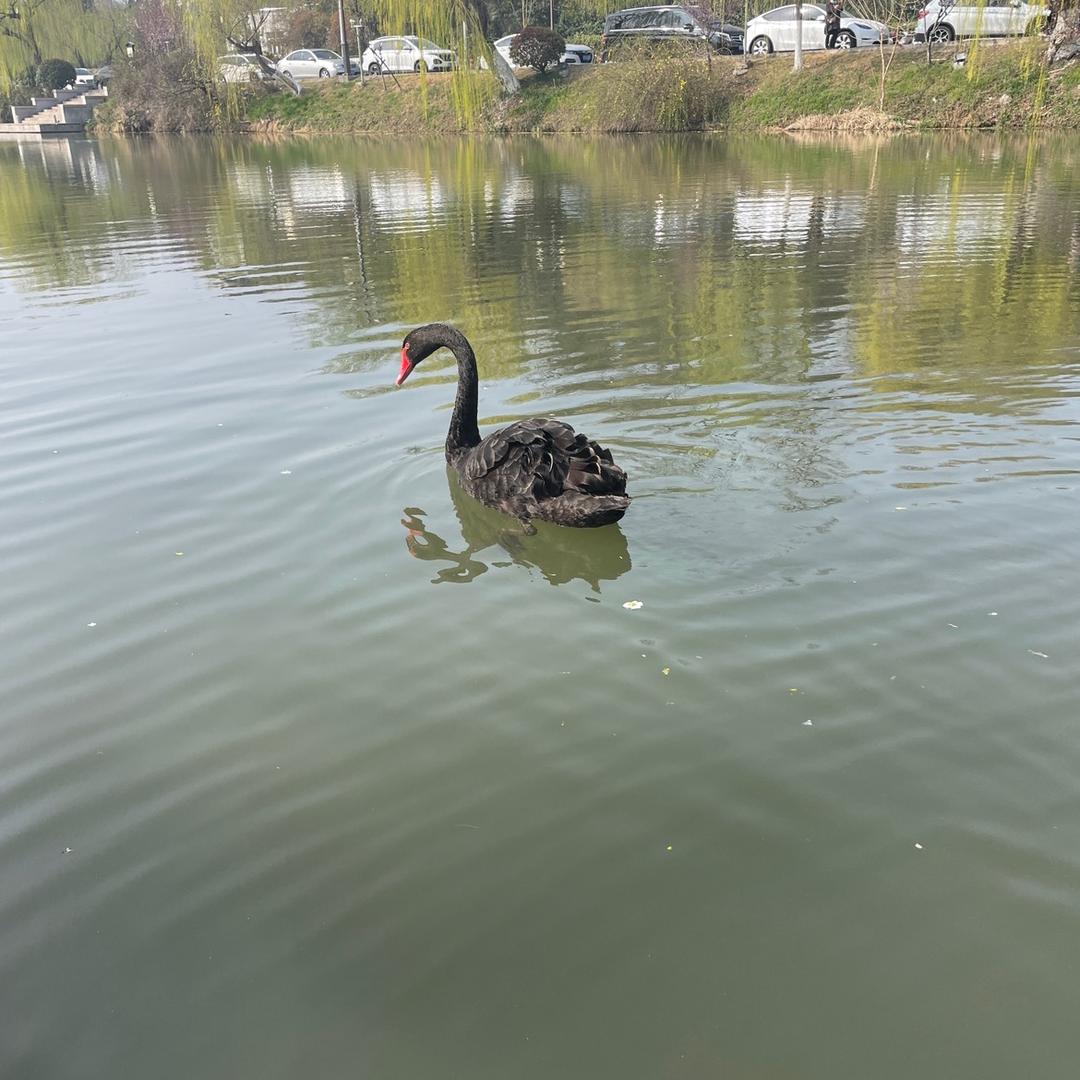 雨天☔️1305894308