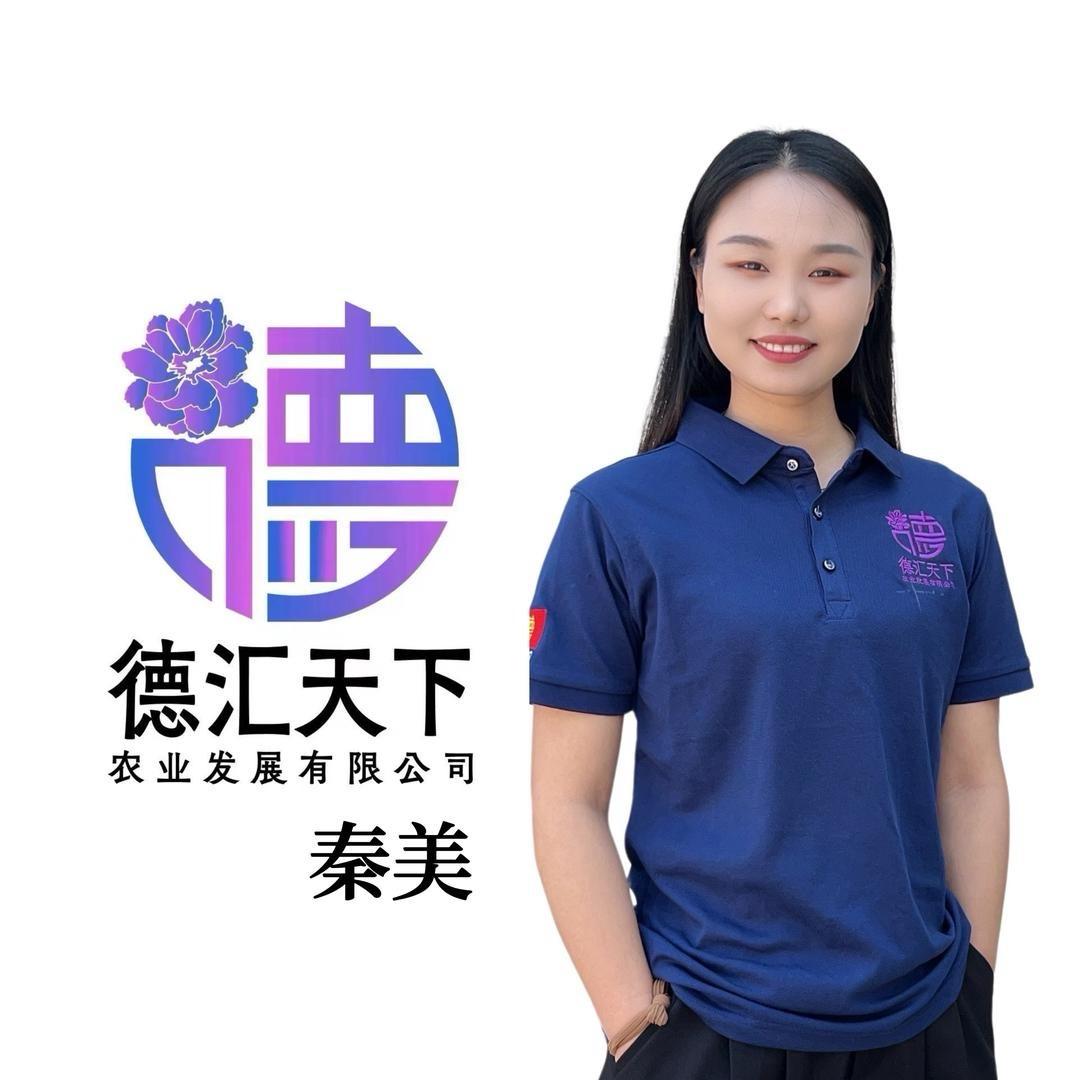 德汇天下-秦美