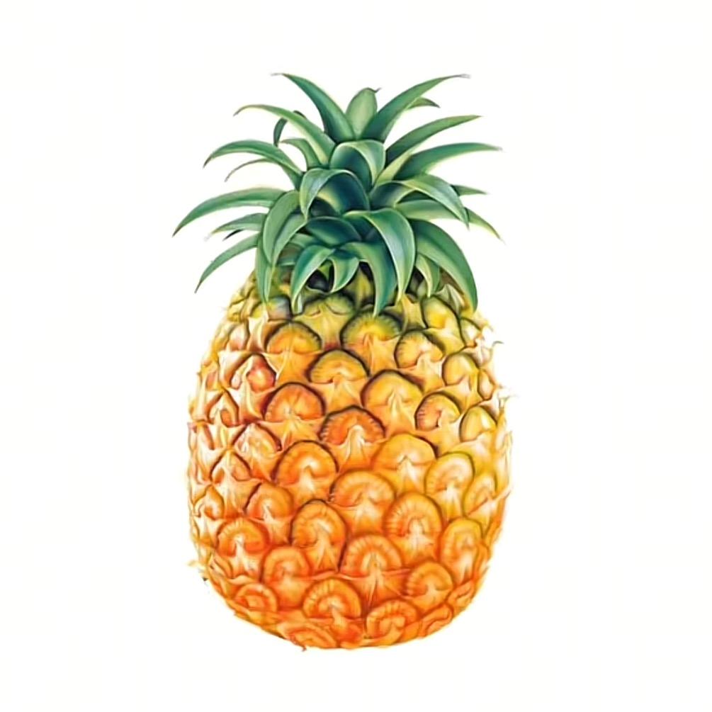 孙薄来_🍍