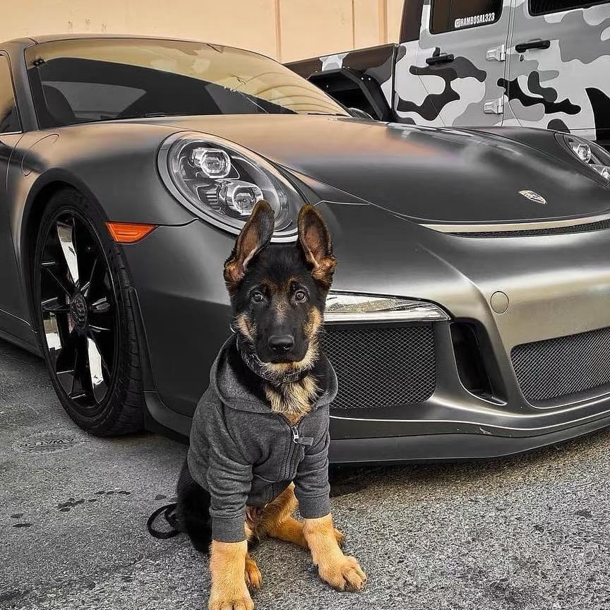 小米体验店(空港新城幸福里店)nuuiocxcjhzxchjds