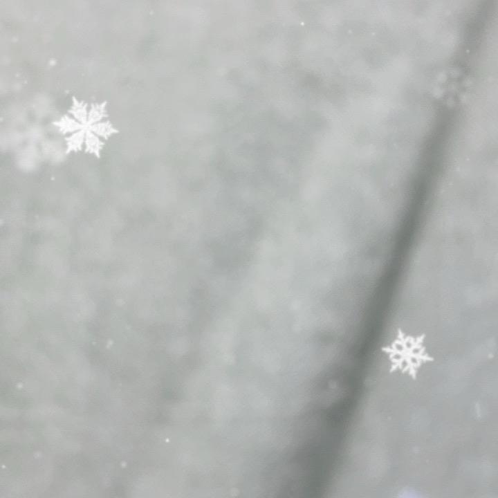 天天童装