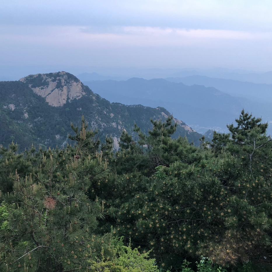 听风过海