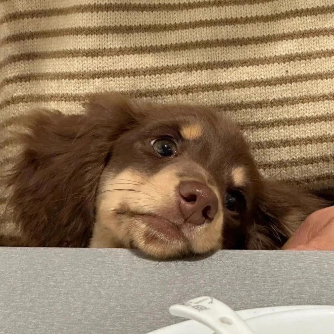 少来烦我