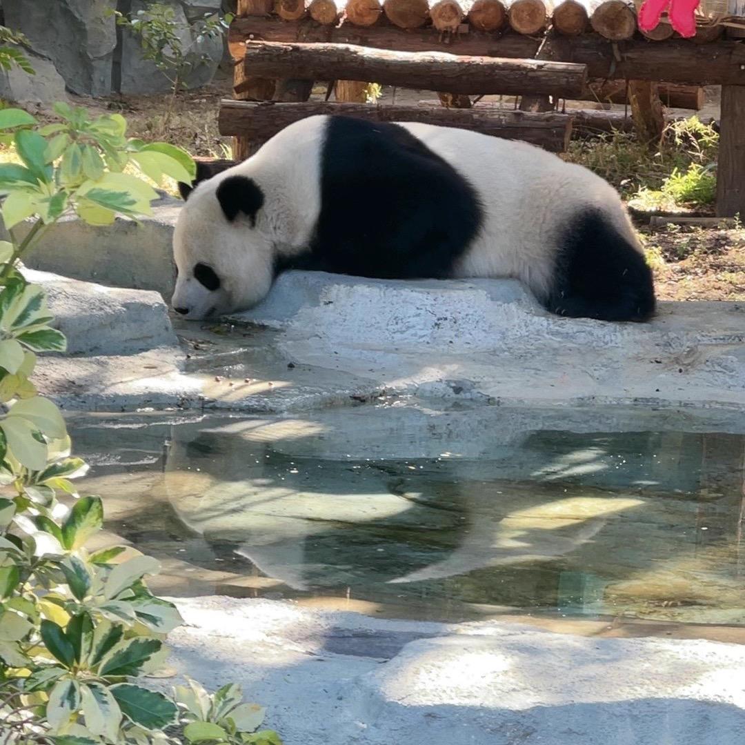 梦幻好物甄选