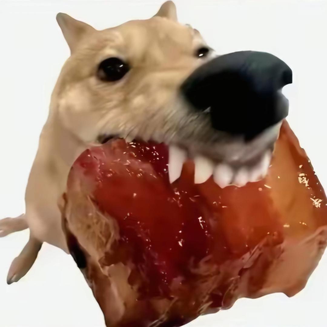 肥崽崽