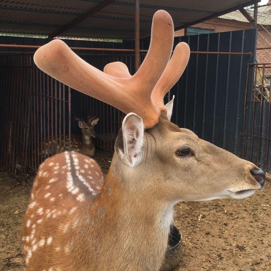 禹元吉林省北晴电子商务有限公司专卖店2