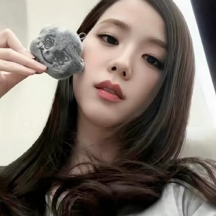 一颗杏子