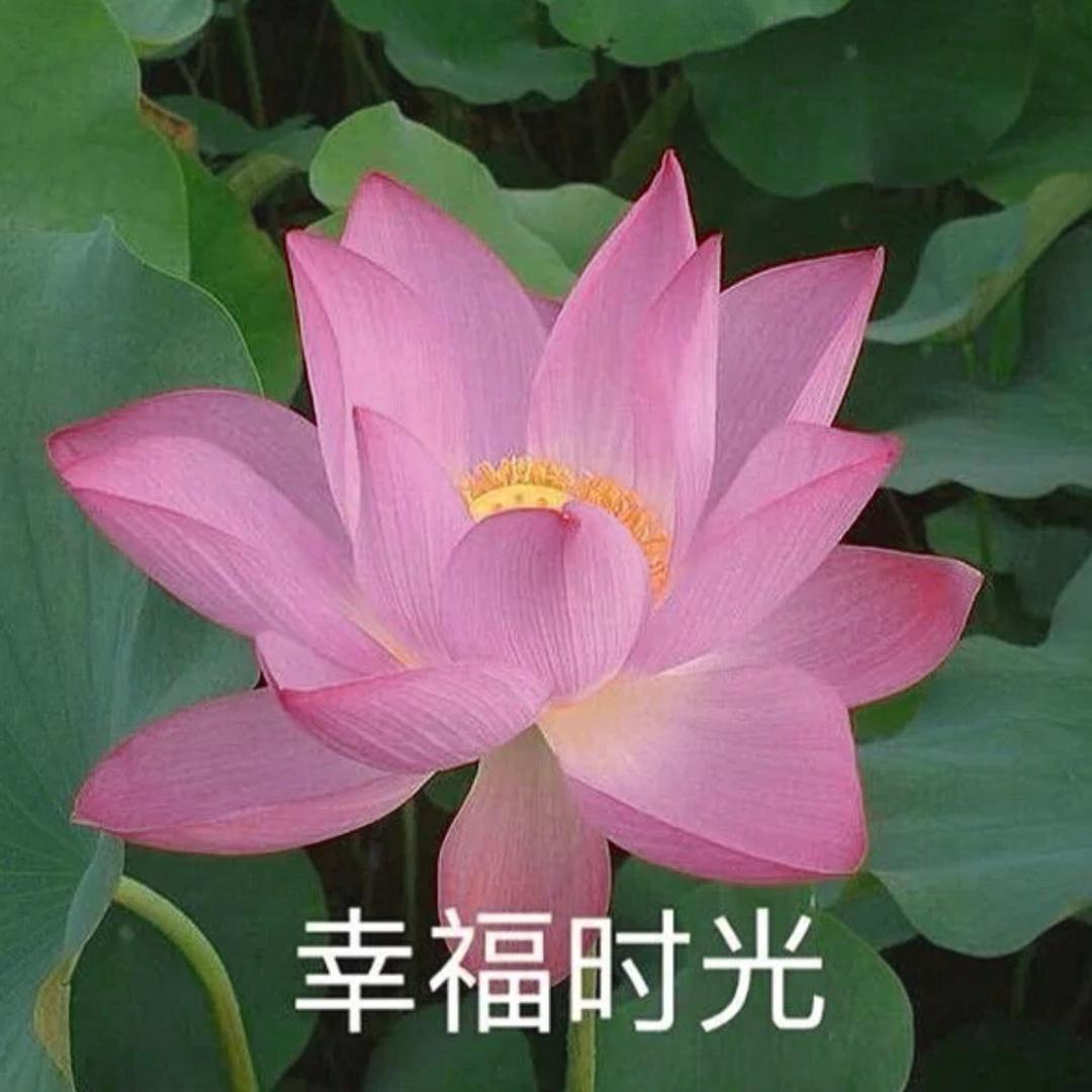 恋盖女装