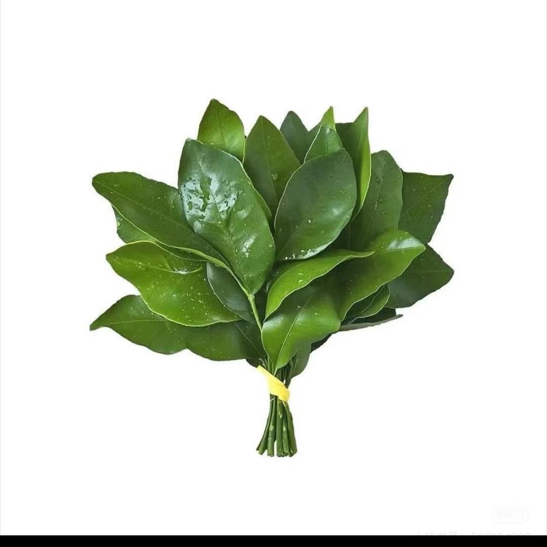 草莓蛋糕🍰