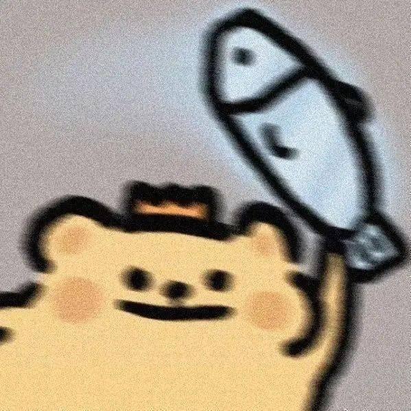 狸光光