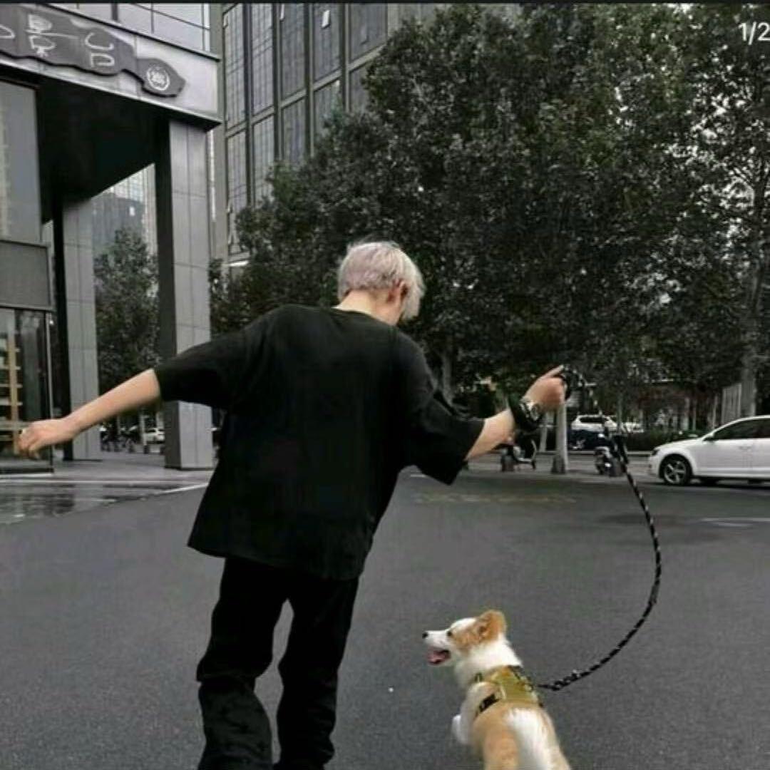 知昂张