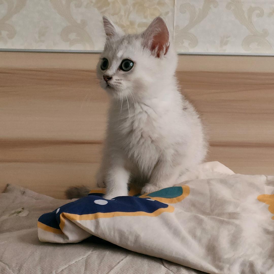 努力努力再努力lay