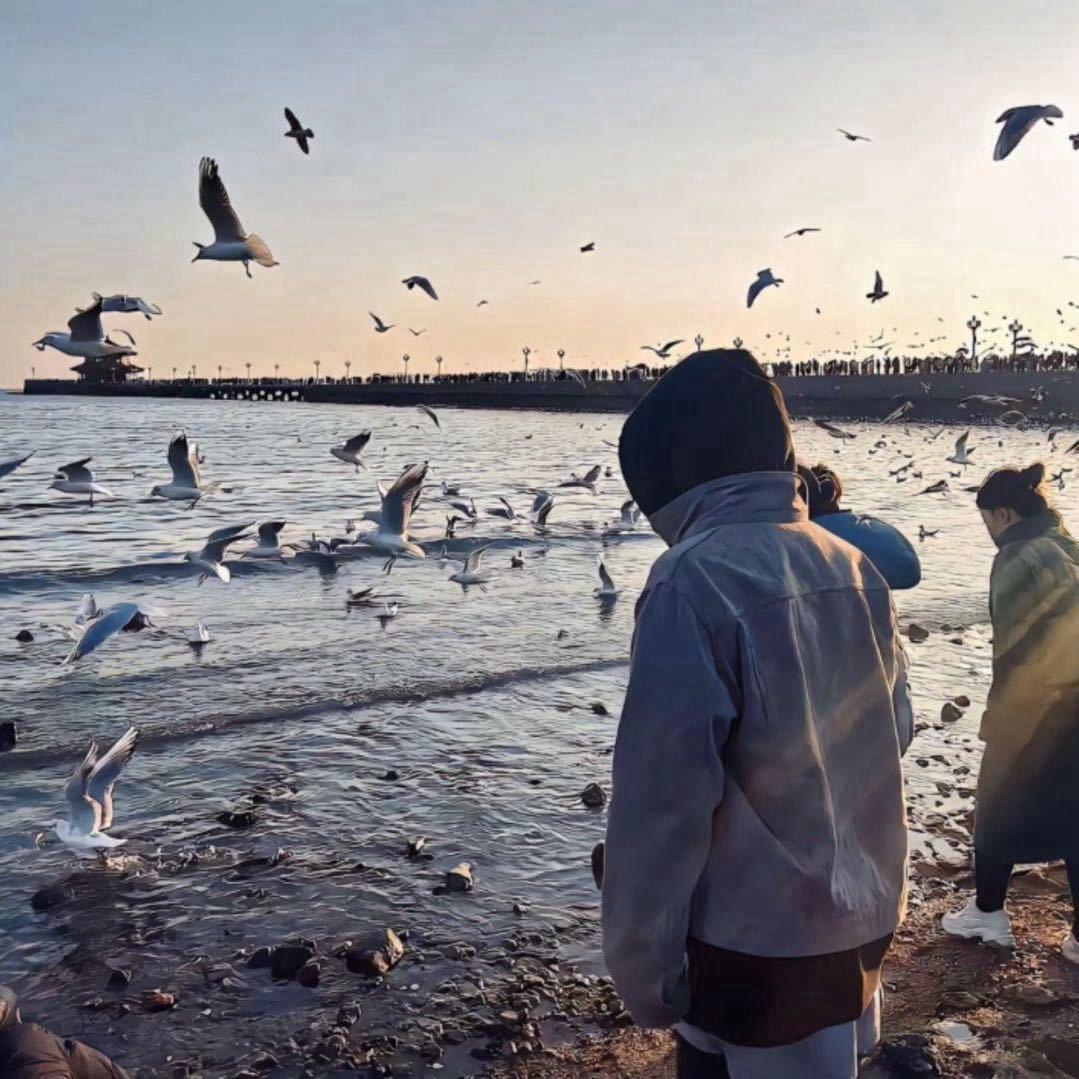 爱仔仔✌🏻@抖音