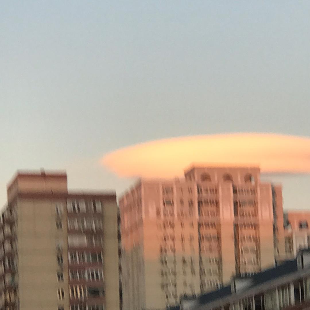 勿忘我