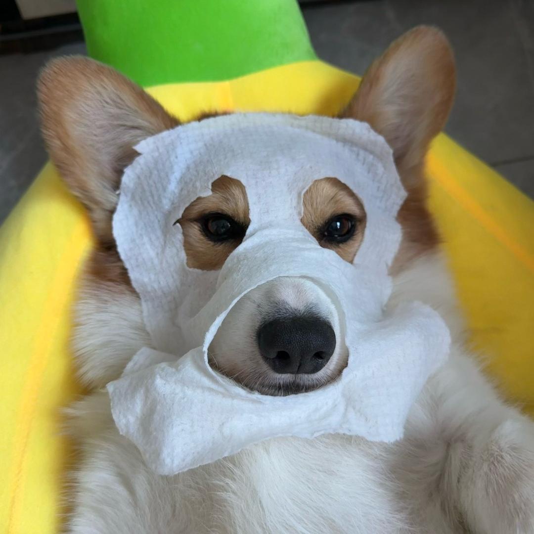 小漠北在鄂尔多斯