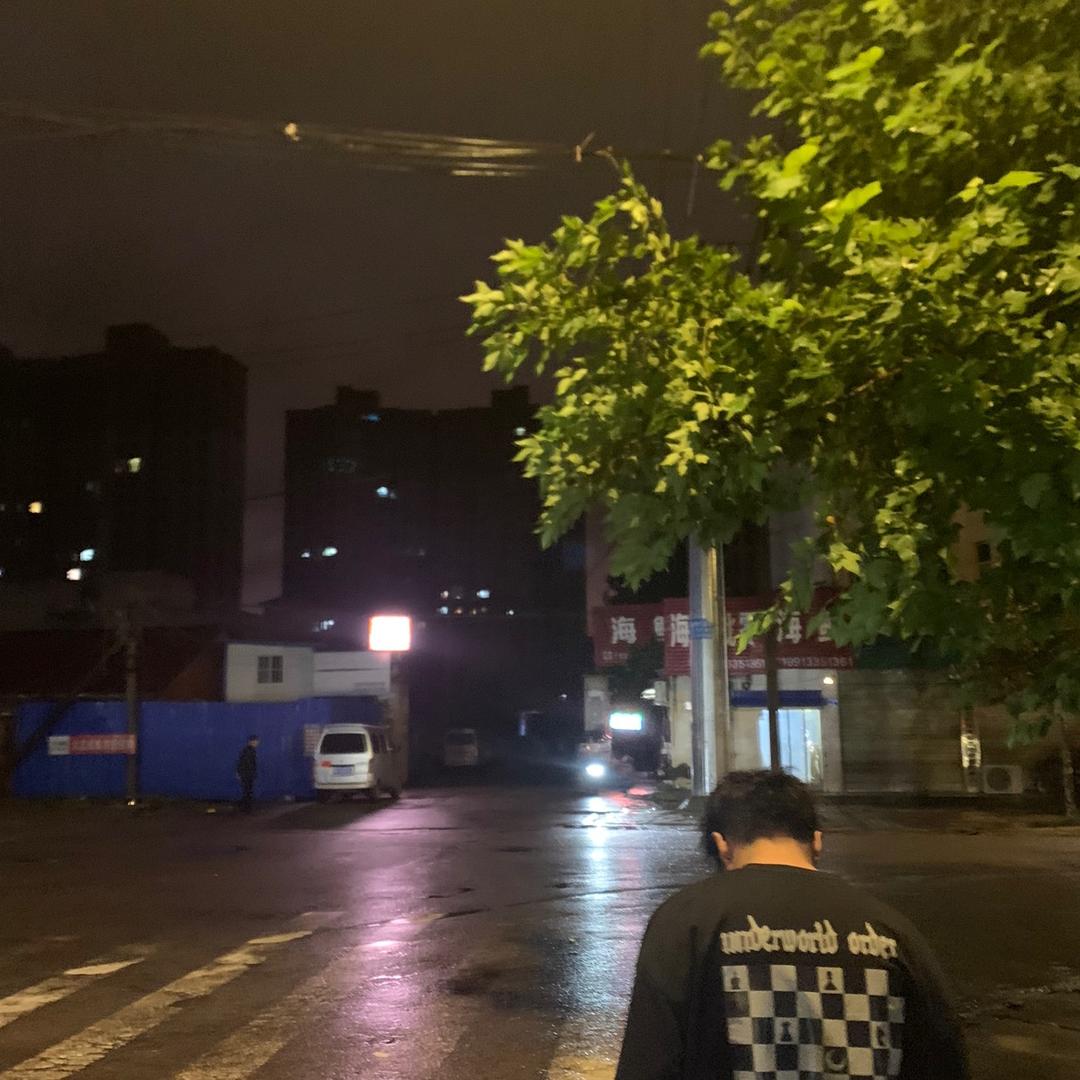 宁采臣