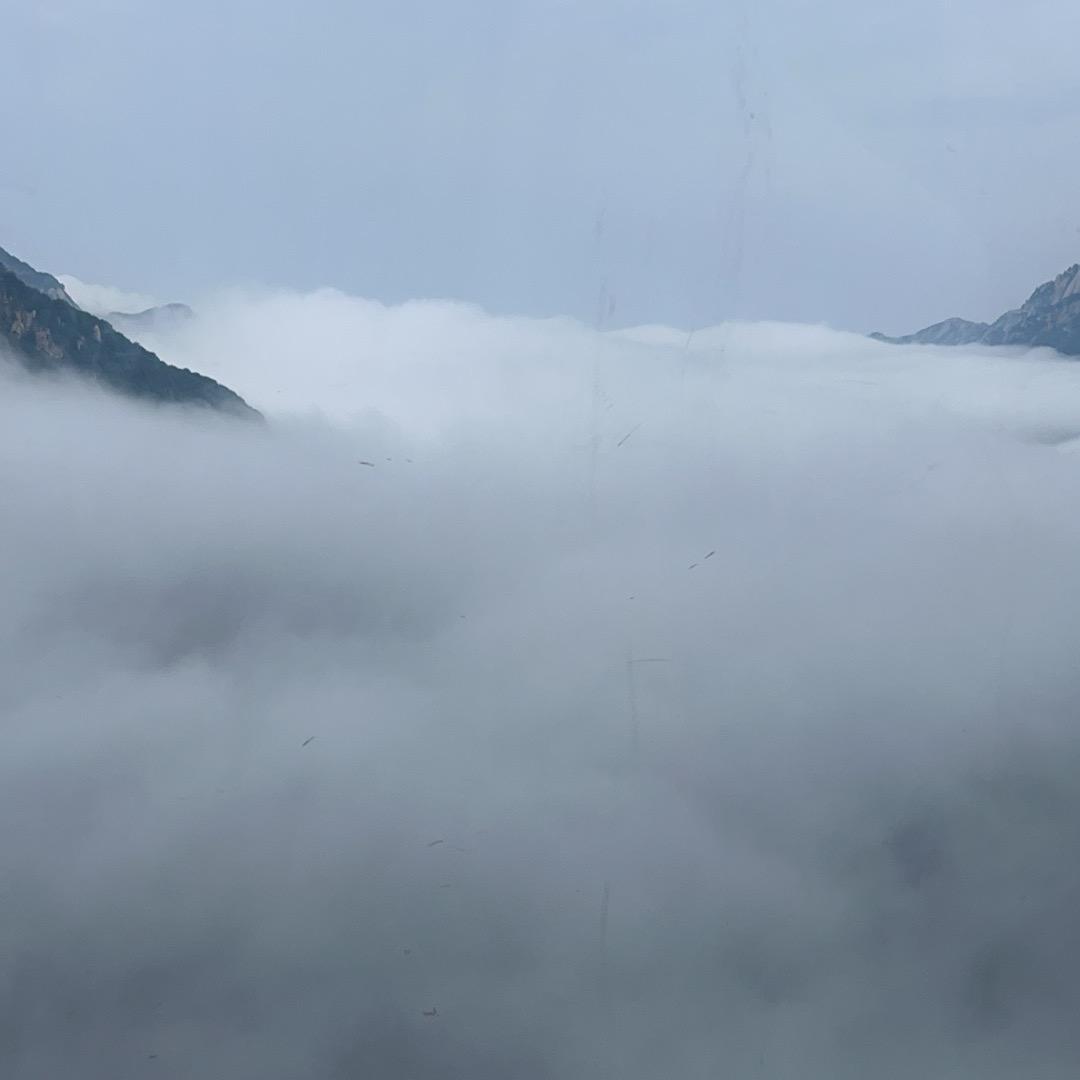 放牛的星星