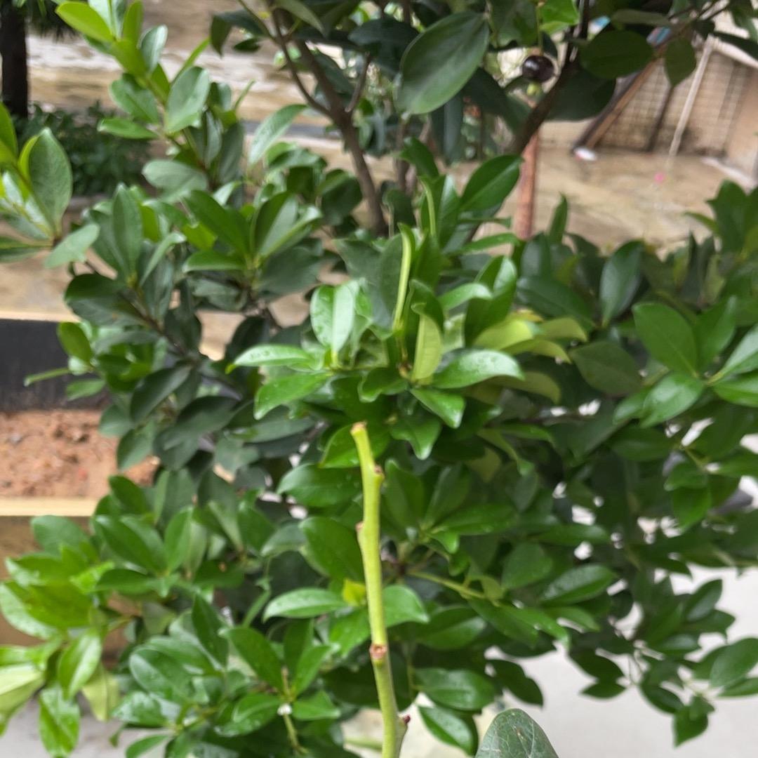 世事浮沉守己身