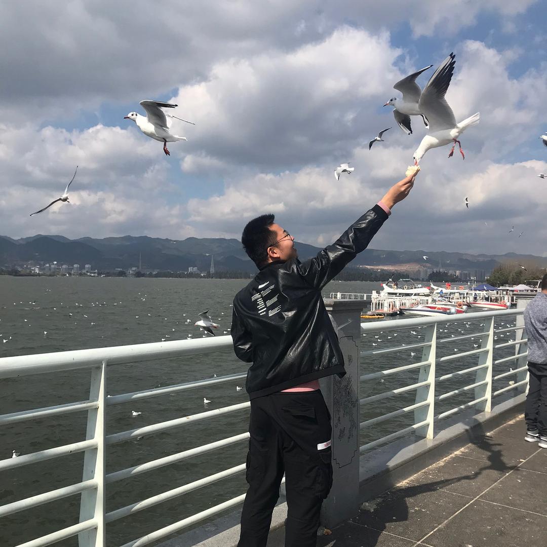 赵阳阳阳