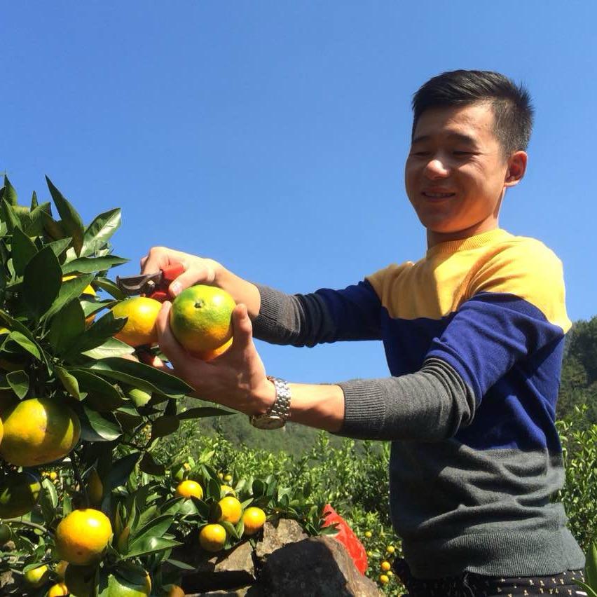 王国军（台铃 春风车行）🚲