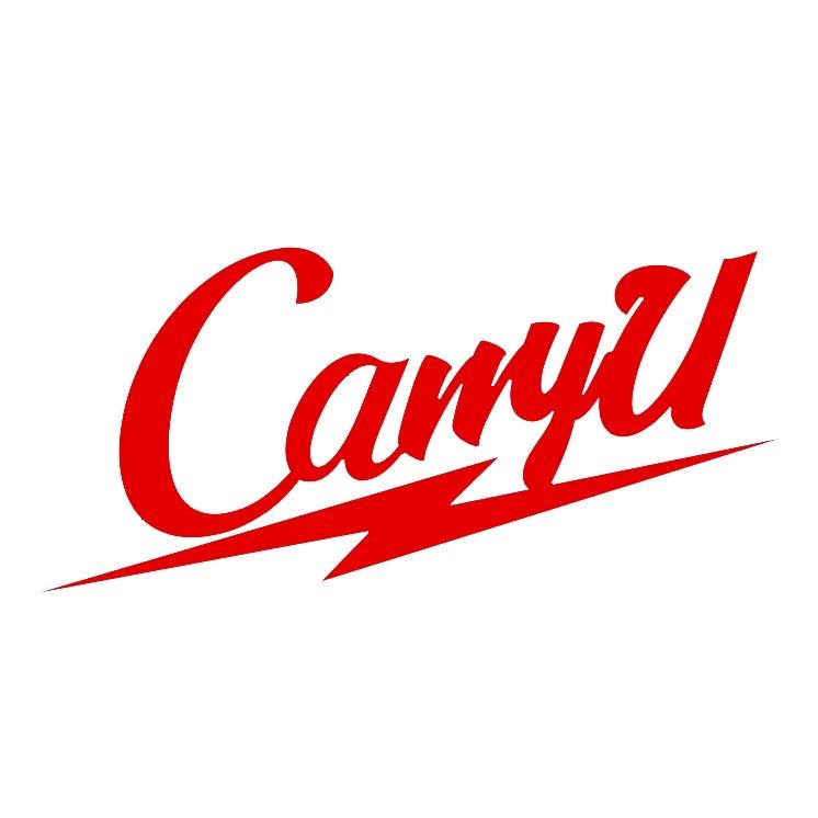 CarryU仓库日记