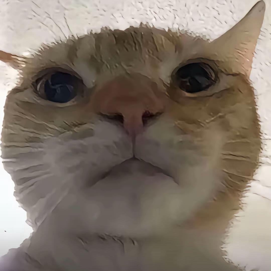 小卿solaaA