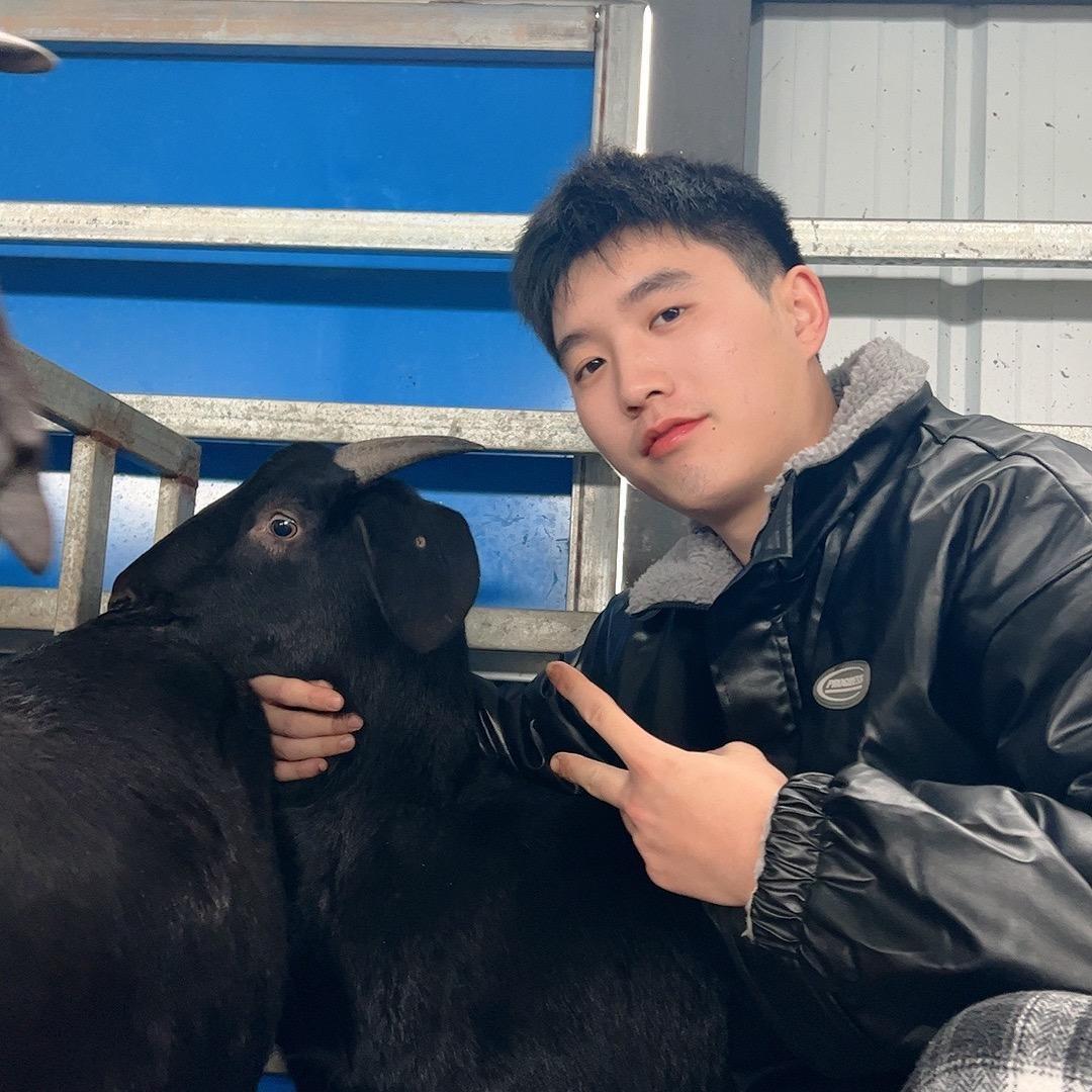 洋洋牧业（流动烤全羊）