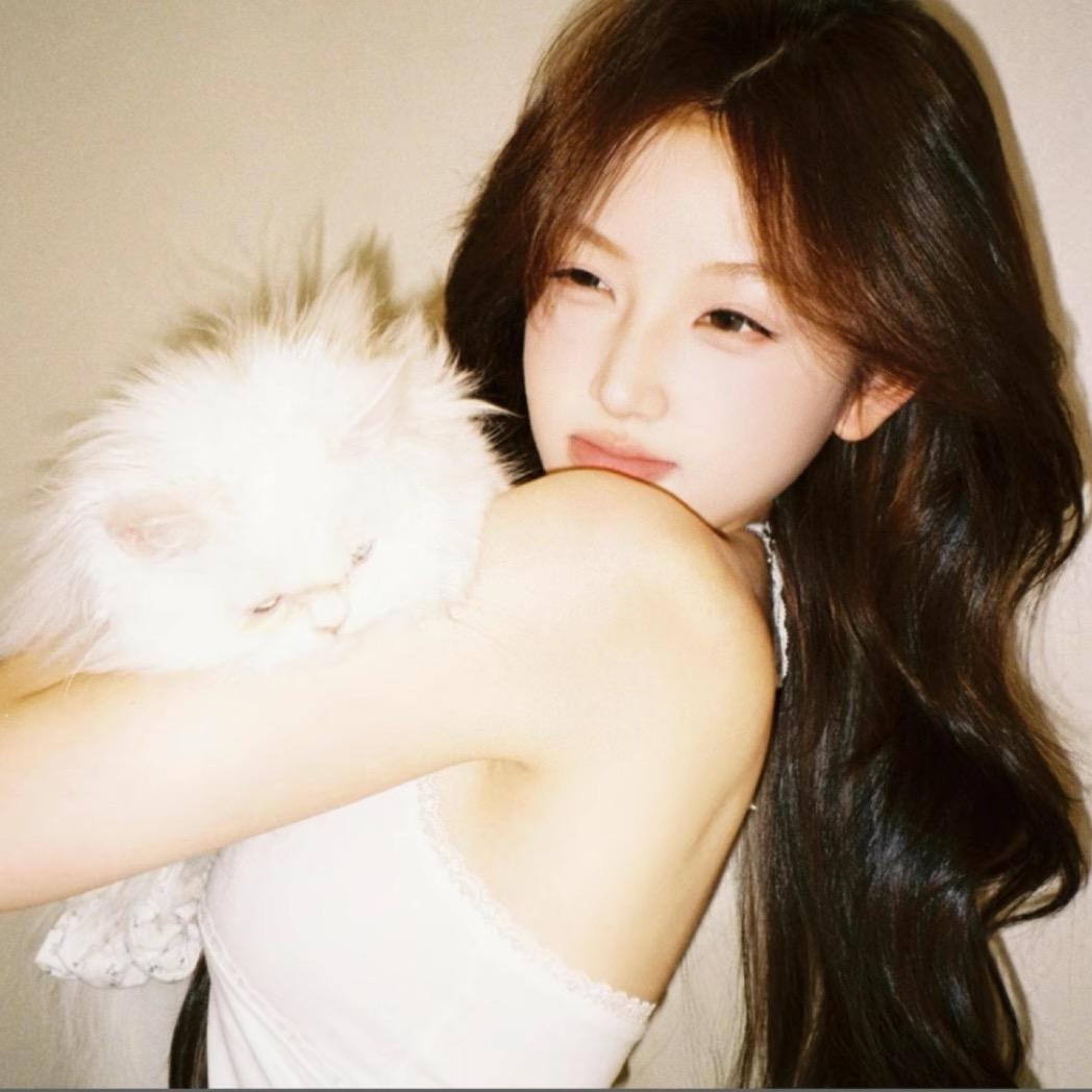 ㅤㅤ    ㅤㅤ⠀ㅤ