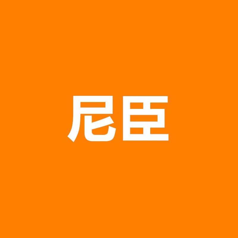 尼臣数码旗舰店