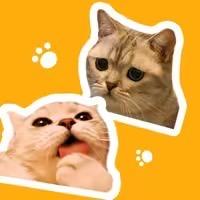 麻蛋和丑丑@抖音