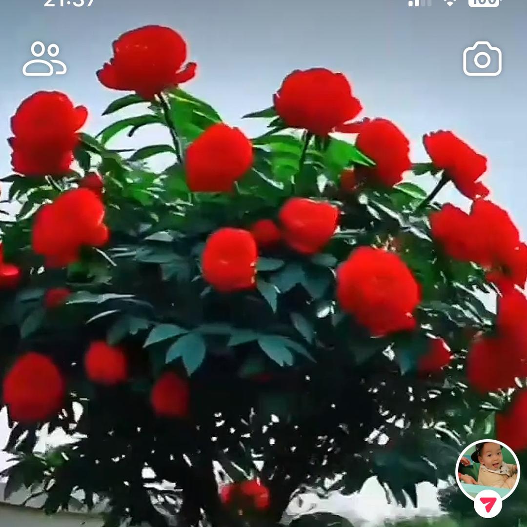 时来运转