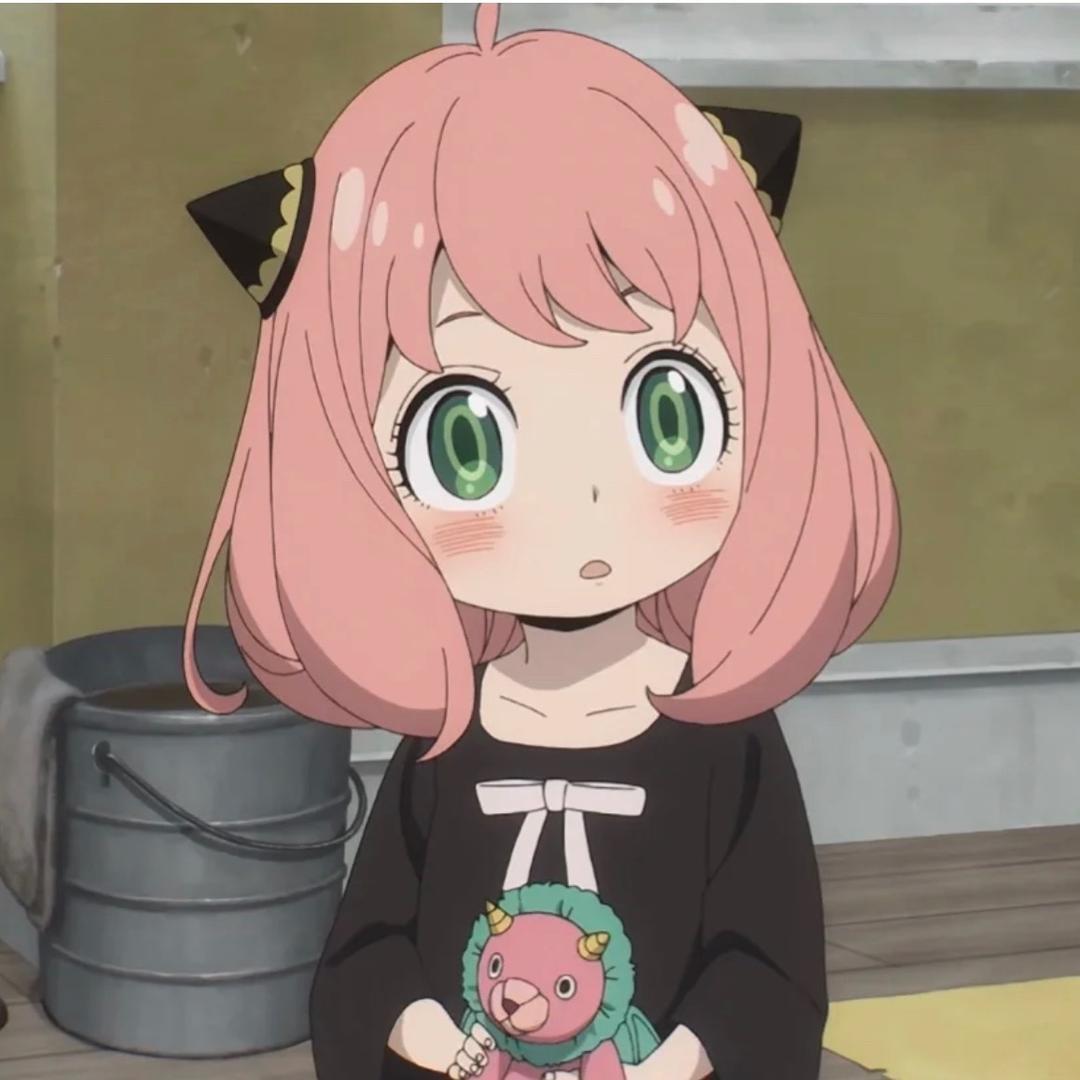 一只兔子🐰